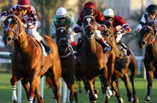 استعداداً لانطلاق مهرجان سيف سمو الأمير: طوارئ في نادي الفروسية