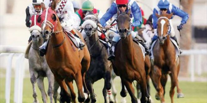 غدا ختام مهرجان سمو الأمير للفروسية