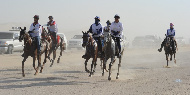 مهرجان سلطان بن زايد للفروسية في بوذيب 27 الجاري
