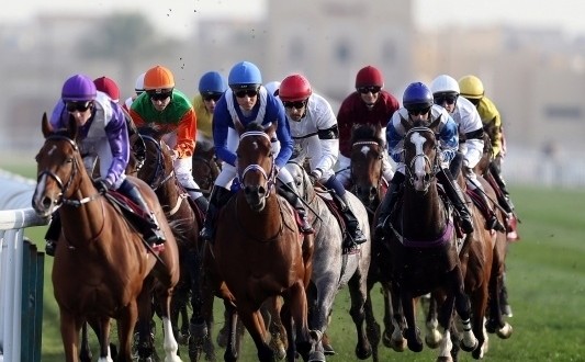 أسرار وكواليس المنعطف الأخير في السباق المثير: “خلطة سحرية”.. وراء تفوق الشحانية